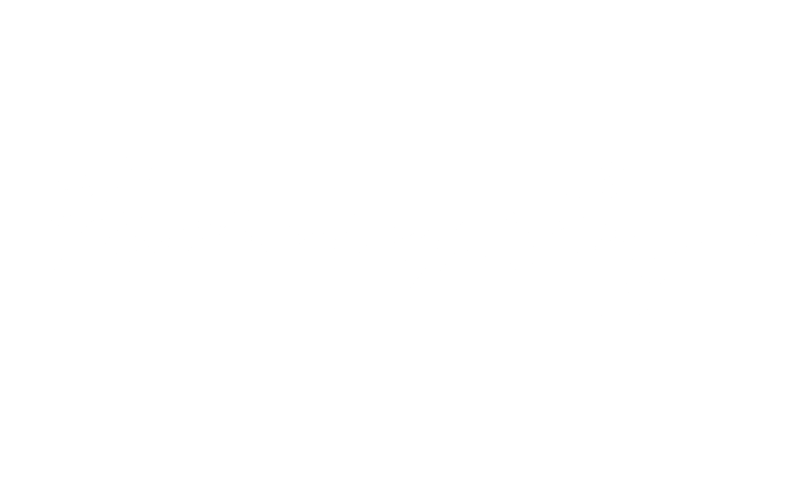 white_logo_transparent_background-min